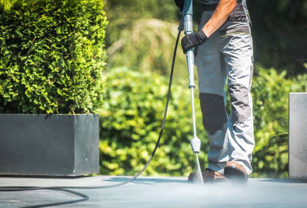 Best Roof Washing  in La Porte City, IA